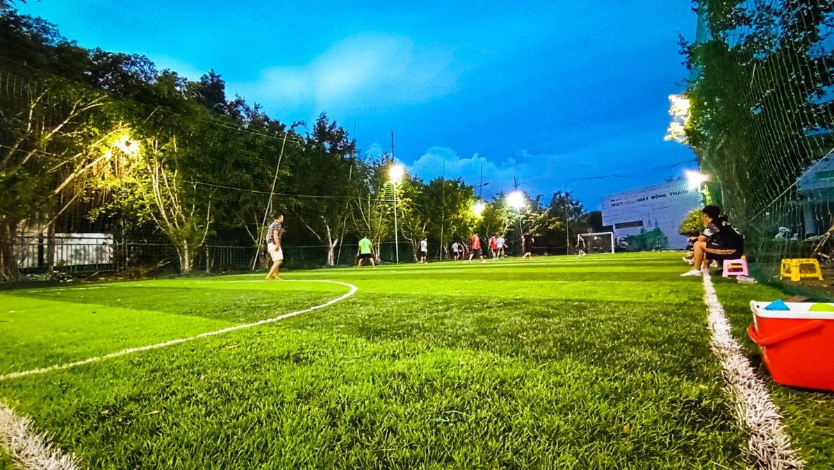 Tổ chức Ngày hội thể thao